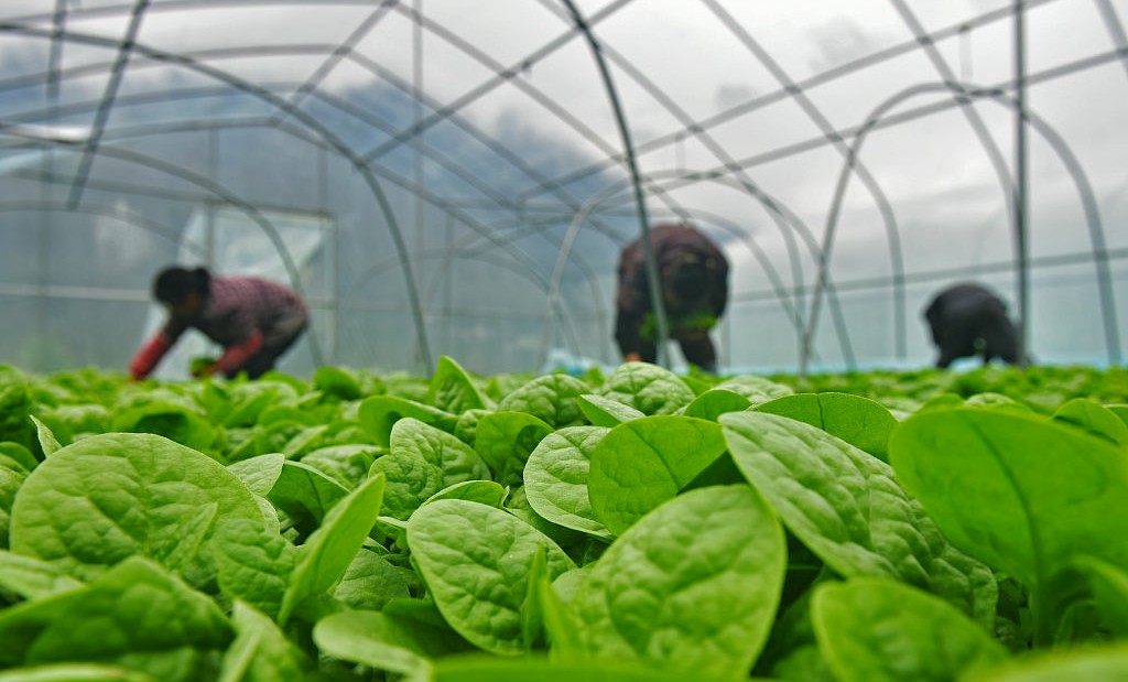 廣州商標注冊代理公司