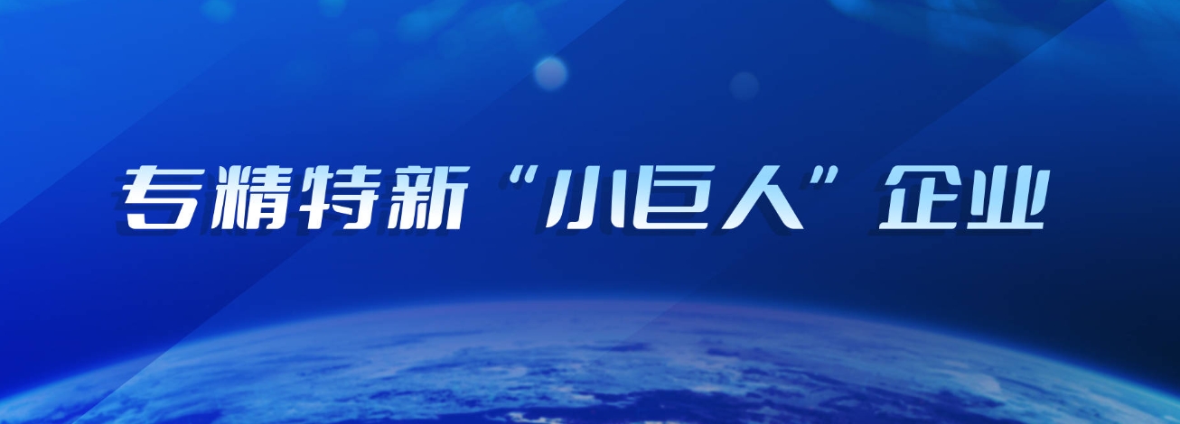 專精特新「小巨人」企業如何認定