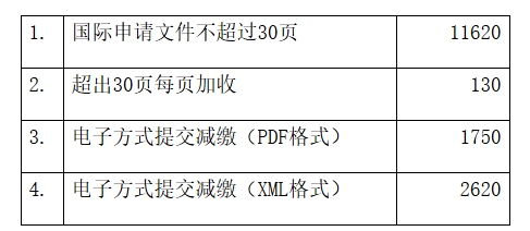 PCT申請國際階段
